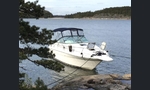 Sea Ray 270 Sundancer-kuva-10